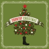 Steve Wariner - Christmas In Your Arms