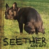 Seether: 2002-2013, 2013