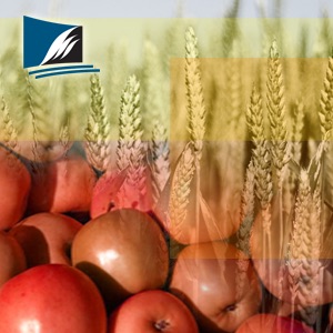 Organic Horticulture  S1 cover