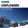 Iceflowers (The Remixes), 2013