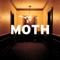 Leftovers - Moth lyrics