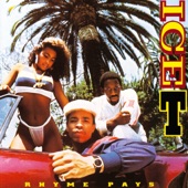 Ice-T - Make It Funky