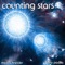 Counting Stars (feat. Danny Padilla) - Max Schneider lyrics