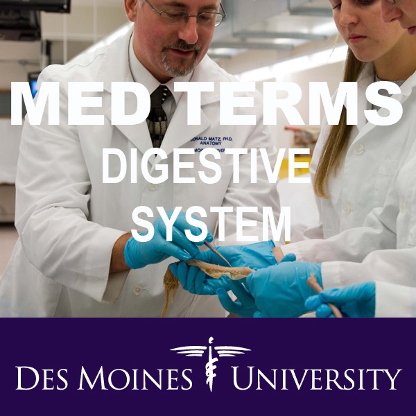 Med Terms: Digestive System cover