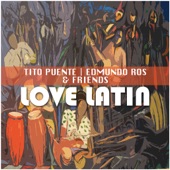 Love Latin artwork