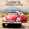 Coisas de Nelsinho Corrêa, 2013