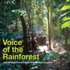 Voice of the Rainforest