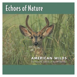 Echoes Of Nature - Songbirds