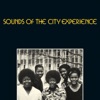 Sounds of the City Experience