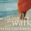 Walking the Walk: Putting the Teachings into Practice When It Matters Most - Pema Chödrön