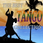 The Best Tango Collection (Dance Tango Hits) artwork