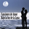 Canciones de Amor Bajo la Luz de la Luna, 2014