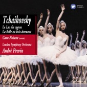 Swan Lake, Op.20 (1988 Remastered Version): No.29 Scene finale (andante - Allegro agitato - Alla breve - Moderato e mastoso) artwork