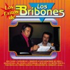 Los Éxitos De Los Bribones