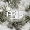 AR15 - Concrete Jungle (Special Edition)