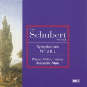 Symphony No. 5 in B Flat Major, D.485: I. Allegro artwork