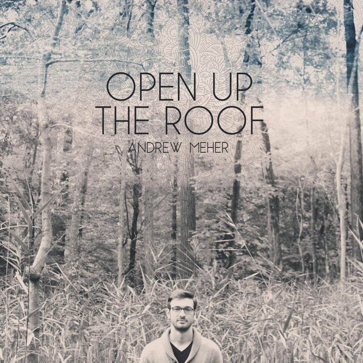 Hit the roof песня. Эндрю песни. Roof open up the Gates. Mp3. Альбом open.