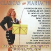 Mariachi Nuevo Tecalitlán - Cuerdas de Satin
