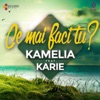 Ce Mai Faci Tu (feat. Karie) - Single