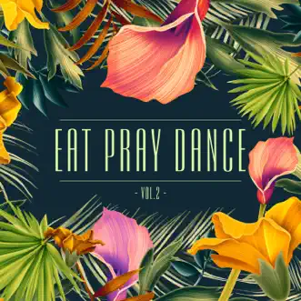 Eat, Pray, Dance, Vol. 2 by Various Artists album reviews, ratings, credits