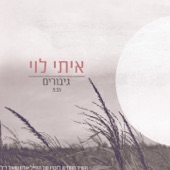 גיבורים artwork