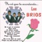 Como No Voy a Quererte - Los Brios lyrics