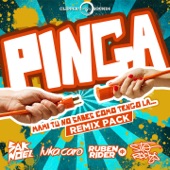 Pinga (feat. Sito Rocks) [Punkie Remix] artwork