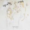Daisy Chain - Bianca Casady & The C.i.A lyrics
