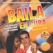 Baila en Cuba 2008 artwork
