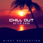 Chill Out After Dark: Night Relaxation, The Best Chillout & Lounge Music, Total Relax for Late Evening artwork