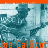 Joe Callicott - Fare Thee Well Blues