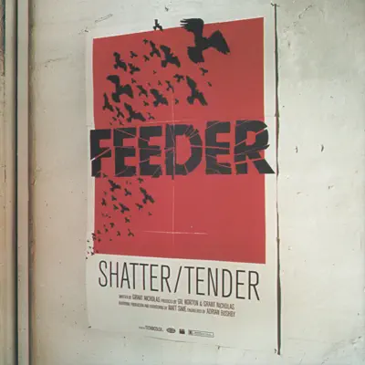 Shatter - Single - Feeder