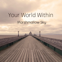 Your World Within - Marshmallow Sky artwork
