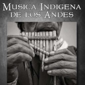 Música Indígena de los Andes artwork