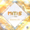 Beautiful Life - Single