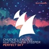 Perfect Sky (feat. Matthew Steeper) - Single
