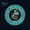 Recluse (Mark E Remix) - Steve Cook lyrics