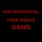 Mad Dog (Instrumental) - Instrumental Trap Beats Gang lyrics