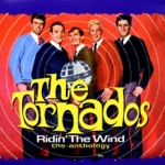 The Tornados - Robot