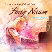 Fong Naam - Echoes from Siam, Old and New artwork