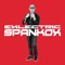 To the Club (Classic Radio Edit) - Spankox lyrics