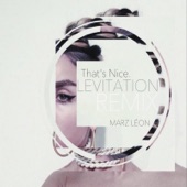 Levitation (Remix) [feat. That's Nice] artwork