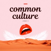 Common Culture, Vol. VI artwork