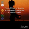 Sacred Nature Sounds: Healing Meditation Music & Angelic Chant, Total Relax Experience, 7 Chakra Cleansing album lyrics, reviews, download