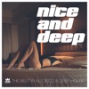 Nice & Deep, No. 1 - The Best in Nu Disco & Deep House (Presented by House Society), 2015