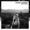 Send a Prayer - Paris Carney lyrics