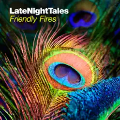 Late Night Tales: Friendly Fires - Friendly Fires