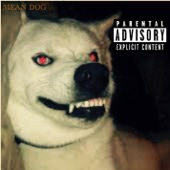 Mean Dog artwork