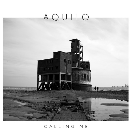 Cover artwork for Calling Me