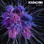 Soulacybin - Siber